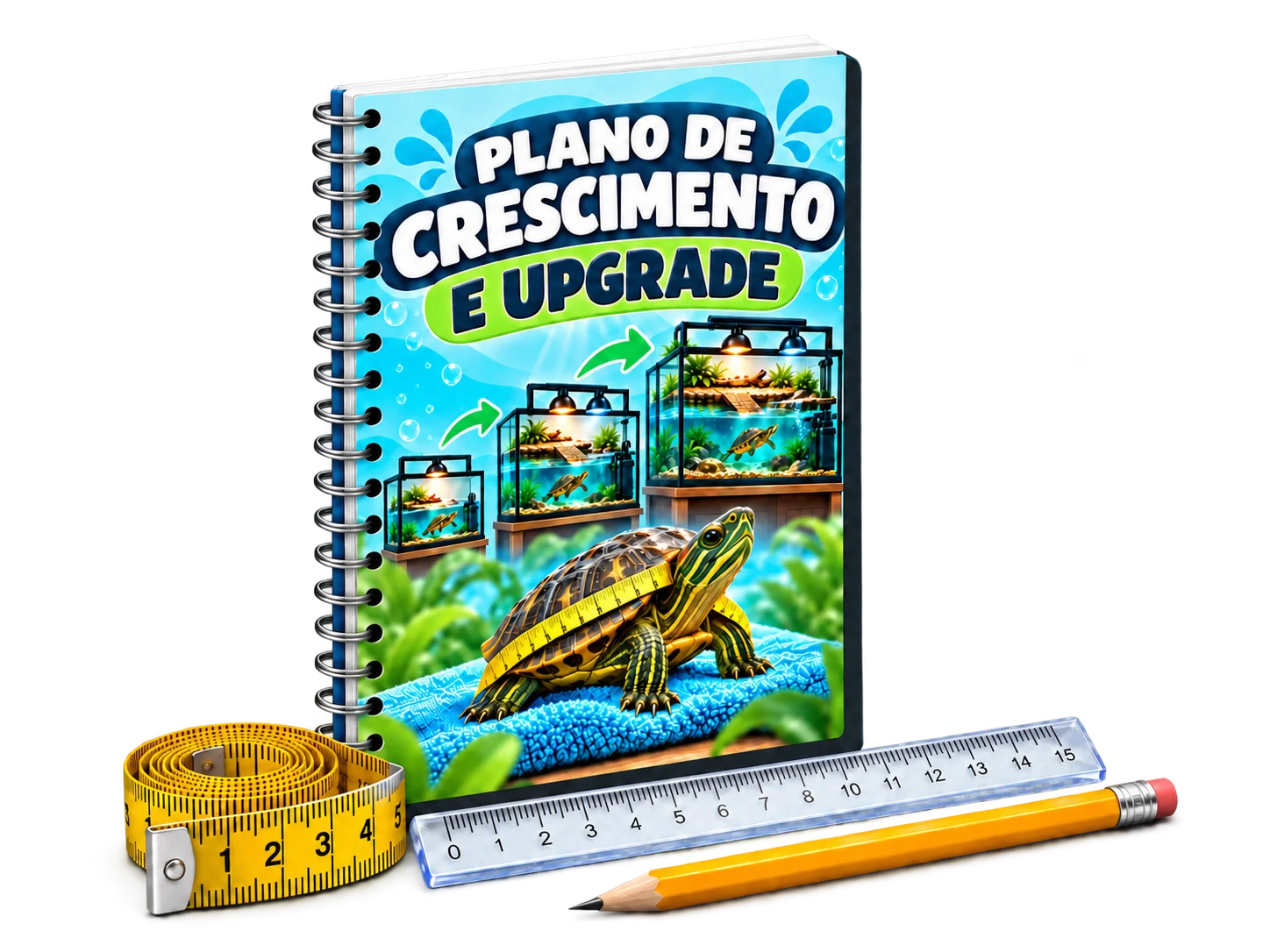 Plano de Crescimento e Upgrade