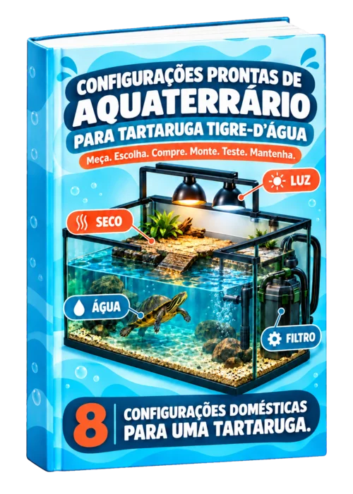 Plano Essencial com o guia visual sem bônus